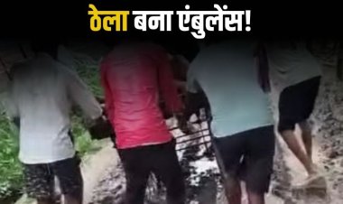 रीवा: सड़क न होने से बीमार बुजुर्ग को ठेले पर ले जाना पड़ा, मदरो गांव की बदहाली उजागर