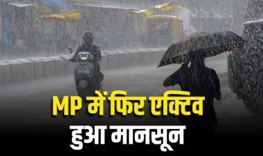 MP Monsoon Update: मध्य प्रदेश में फिर एक्टिव हुआ मानसून, 15 अगस्त से तेज बारिश का अलर्ट