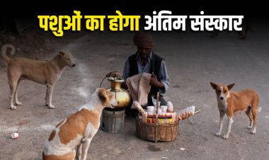 इंदौर में अब मृत पशुओं का होगा अंतिम संस्कार