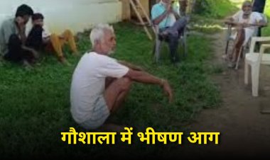 शहडोल गौशाला में लगी भीषण आग, पांच मवेशियों की जलकर मौत