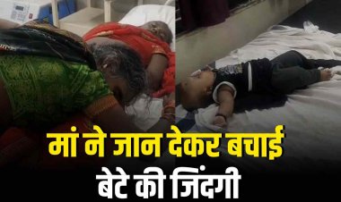 मऊगंज में दर्दनाक हादसा, मां ने जान देकर बेटे को बचाया