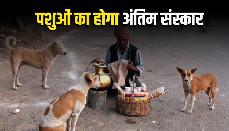 इंदौर में अब मृत पशुओं का होगा अंतिम संस्कार