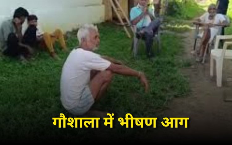 शहडोल गौशाला में लगी भीषण आग, पांच मवेशियों की जलकर मौत