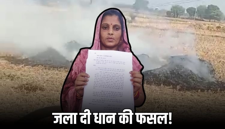 धान की फसल पर डाली जहरीली दवा, महिला ने धमकियों का लगाया आरोप