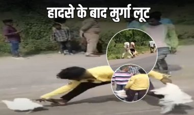 रीवा: स्कूल वैन और मुर्गा लोड पिकअप में टक्कर, बच्चे घायल,  मुर्गा लेकर भागे ग्रामीण