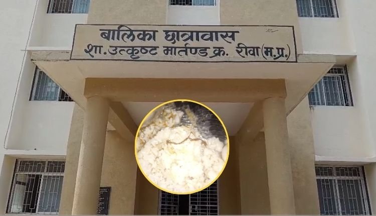 रीवा गर्ल्स हॉस्टल के खाने में मिला कीड़ा, छात्राओं की तबीयत बिगड़ी, प्रबंधन घेरे में
