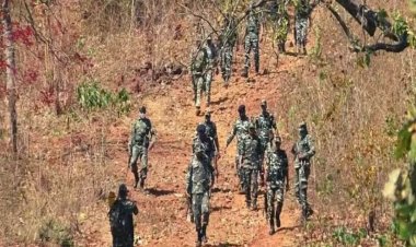 छत्तीसगढ़-महाराष्ट्र बॉर्डर पर पुलिस-नक्सलियों की मुठभेड़ कई नक्सलियों के मारे जाने की खबर