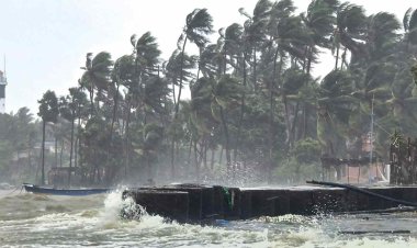Ditvah Cyclone: भारत की और बढ़ रहा दितवाह चक्रवात, श्रीलंका में अब तक 90 मौत