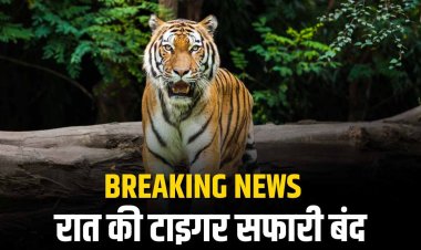 सुप्रीम कोर्ट का आदेश: 1 दिसंबर से मध्यप्रदेश में रात की टाइगर सफारी बंद