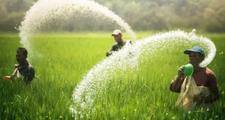 MP के किसानों को मिलेगी राहत.. अब घर-घर पहुंचेगी खाद