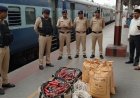 डभौरा पुलिस की बड़ी कार्रवाई, ट्रेन से 50 किलो विस्फोटक बरामद