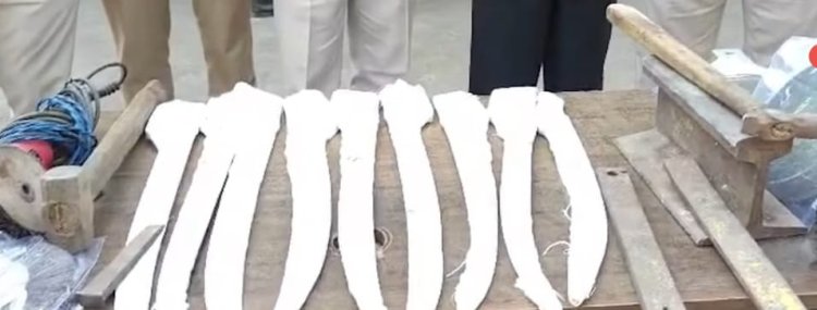 भोपाल में छापेमारी: अवैध हथियार कारखाने का पर्दाफाश,तलघर में बन रही थीं तलवारें