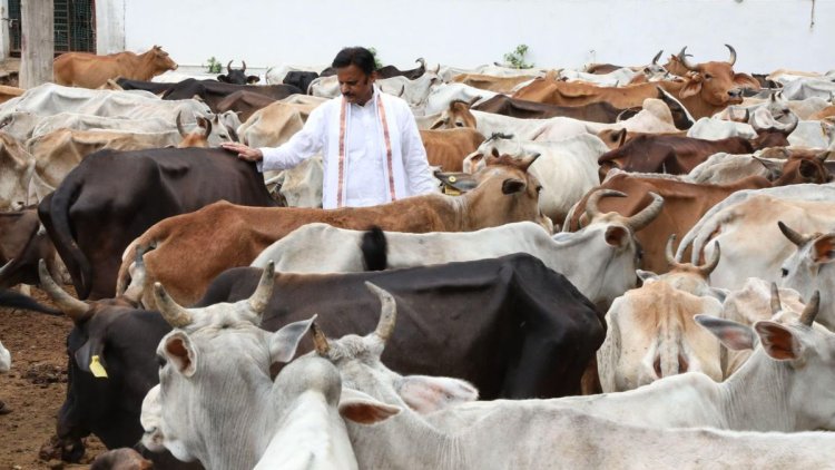 विकसित भारत का कृषि मॉडल: गौ-आधारित प्राकृतिक खेती और स्वस्थ जीवन: डिप्टी CM राजेंद्र शुक्ल