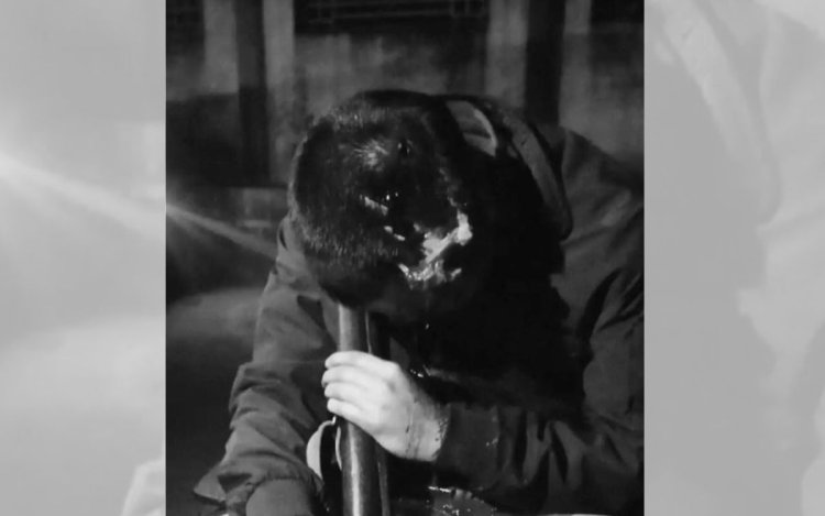 शहडोल: ड्यूटी के दौरान आरक्षक ने खुद को मारी गोली