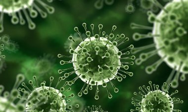 निपाह वायरस से भारत में पहली मौत, 25 साल की नर्स ने तोड़ा दम