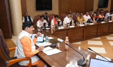 उड़द पर 600 रुपये बोनस के फैसले को कैबिनेट की मंजूरी, CM ने कहा- जनजातीय बहुल जिलों में होगी कृषि कैबिनेट की बैठक