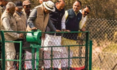 MP के कूनों में अफ्रीकी देश बोत्सवाना से लाए गए 9 चीते,  केंद्रीय वन और पर्यावरण मंत्री भूपेंद्र यादव ने किया रिलीज