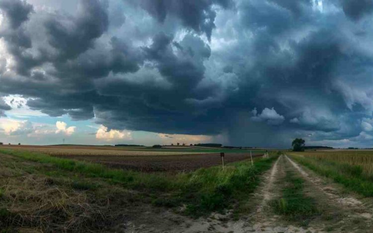 वेस्टर्न डिस्टरबेंस से बदला मौसम का मिजाज, 18-19 फरवरी को MP के कई जिलों में बारिश के आसार