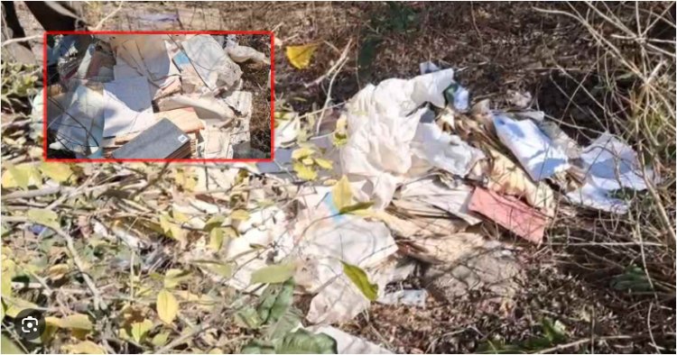 जंगल में मिली MPEB की महत्वपूर्ण फाइलें