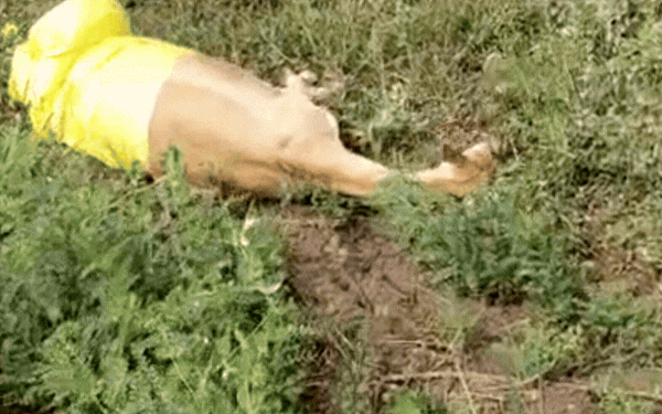 काले हिरण शिकार में वन विभाग की साजिश उजागर! रेंजर आशीष रावत समेत 6 वनकर्मी सस्पेंड