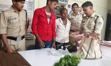 झोले में सब्जी, सब्जी के अंदर शराब, शराब तस्करी का नया तरीका