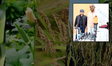 ऑटोमेशन सिस्टम से फूलों की खेती करने वाले भोपाल के पहले किसान बने रामसिंह कुशवाह