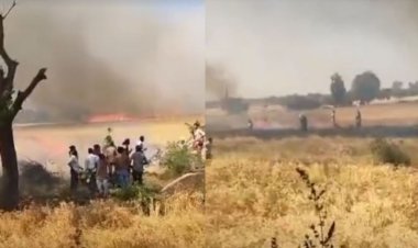 हरदा: 50 एकड़ गेहूं की फसल में आग, जांच में जुटी पुलिस