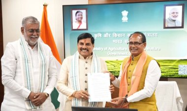 दिल्ली: केंद्रीय मंत्री शिवराज सिंह चौहान से मिले सीएम मोहन, कैबिनेट मंत्री प्रहलाद पटेल भी रहे मौजूद