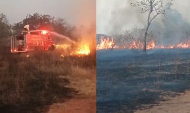 पटेहरा टीकट गांव में झाड़ियों में आग, फायर ब्रिगेड ने फसल बचाई