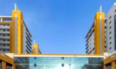 भोपाल के हमीदिया अस्पताल में लापरवाही , नवजात की सांसें चल रही थीं, दे दिया डेथ सर्टिफिकेट