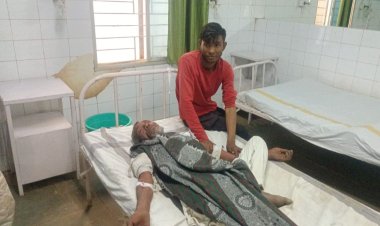 मऊगंज में वृद्ध किसान पर मधुमक्खियों ने किया हमला, हालत गंभीर