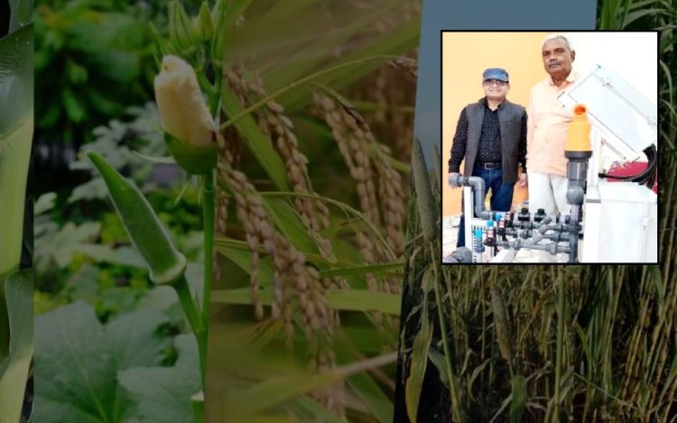 ऑटोमेशन सिस्टम से फूलों की खेती करने वाले भोपाल के पहले किसान बने रामसिंह कुशवाह