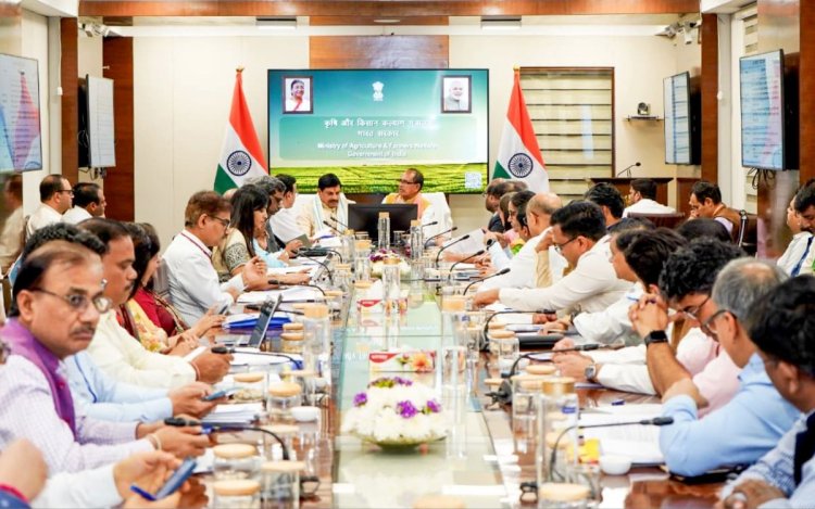 सरसों भावांतर भुगतान योजना को केंद्र की मंजूरी, तुअर की 100% सरकारी खरीदी का रास्ता साफ