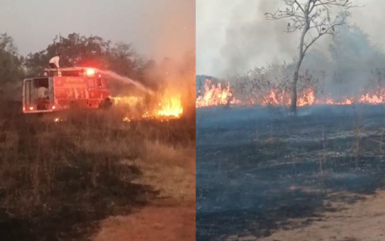 पटेहरा टीकट गांव में झाड़ियों में आग, फायर ब्रिगेड ने फसल बचाई