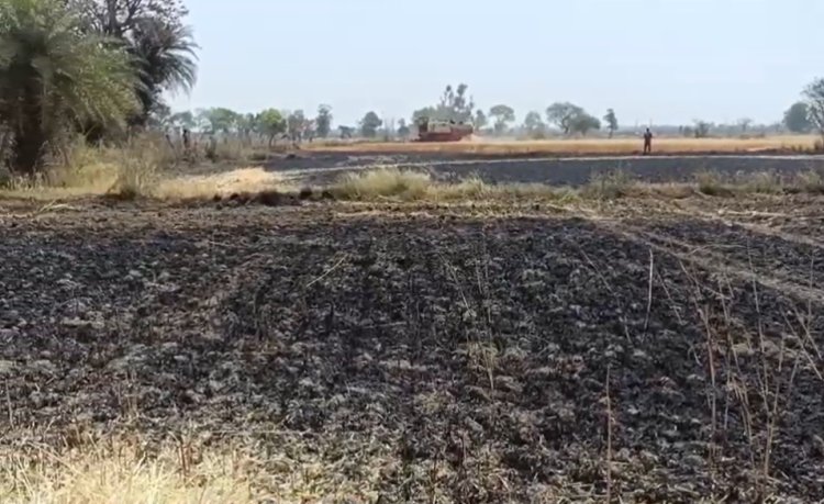 खेत में लगी आग, पकी गेहूं की फसल जलकर राख, लाखों का नुकसान