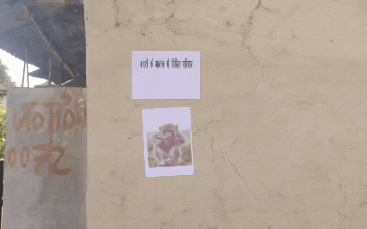 मैहर में बंदरों के आतंक से परेशान ग्रामीणों का मौन सत्याग्रह