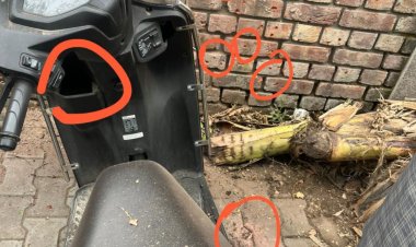 चंडीगढ़ में BJP हेडक्वार्टर के बाहर ब्लास्ट, CCTV में ग्रेनेड फेंकता दिखा संदिग्ध