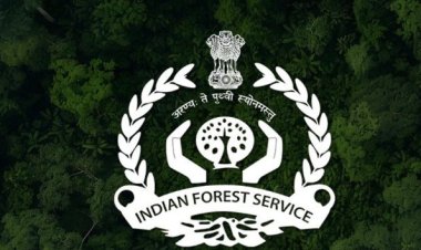 MP के तीन दागी अधिकारी नहीं बन पाए IFS, केंद्र ने नोटिफिकेशन से किया बाहर