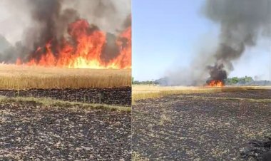 ट्रांसफार्मर से निकली चिंगारी से 10 एकड़ गेहूं की फसल जलकर राख