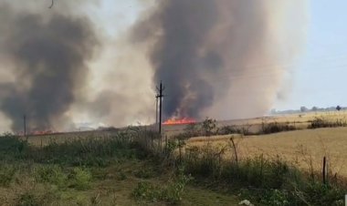 ट्रांसफार्मर की चिंगारी से 70 एकड़ गेहूं की फसल जली, 15 किसानों को लाखों का नुकसान