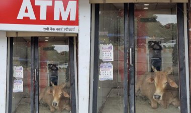 ATM में घुसा सैंड, सुरक्षा व्यवस्था पर उठे सवाल