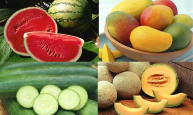 गर्मी में सही खान-पान से कंट्रोल रखें बॉडी का टेम्परेचर, हीट स्ट्रोक से बचने के लिए अपनाएं Summer Diet