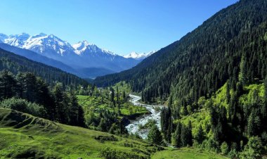 Pahalgam Attack: लगभग एक साल बाद लौटी रौनक, सुरक्षा के लिए QR कोड ट्रैकिंग सिस्टम लागू