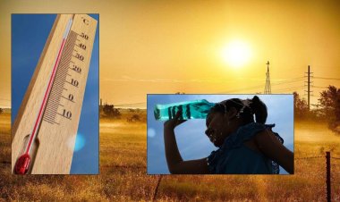 बढ़ती गर्मी के बीच छत्तीसगढ़ में हीटवेव का असर, सुबह 7 बजे से खुलेंगे आंगनबाड़ी केंद्र