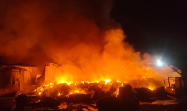 BHOPAL: अन्ना नगर गार्बेज ट्रांसफर स्टेशन में भीषण आग, 8 घंटे बाद भी नहीं पाया गया काबू