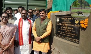 CM डॉ. मोहन ने कान्हा टाइगर रिजर्व में 4 जंगली भैसों को छोड़ा, बढ़ेगा ईको-सिस्टम और टूरिज्म