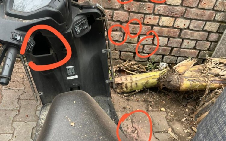 चंडीगढ़ में BJP हेडक्वार्टर के बाहर ब्लास्ट, CCTV में ग्रेनेड फेंकता दिखा संदिग्ध