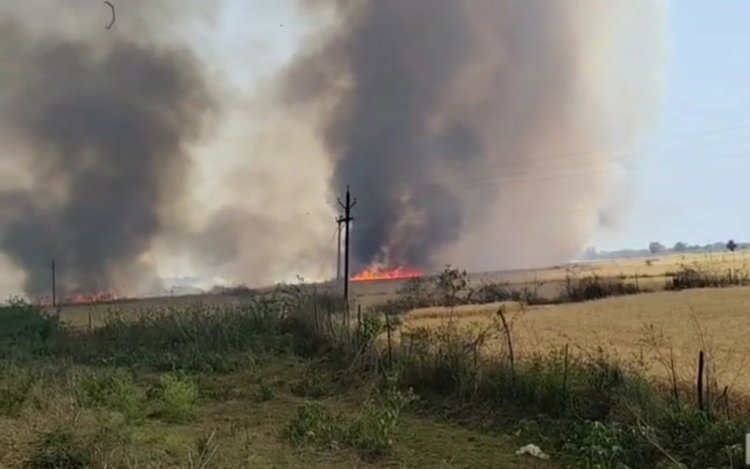 ट्रांसफार्मर की चिंगारी से 70 एकड़ गेहूं की फसल जली, 15 किसानों को लाखों का नुकसान