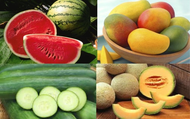 गर्मी में सही खान-पान से कंट्रोल रखें बॉडी का टेम्परेचर, हीट स्ट्रोक से बचने के लिए अपनाएं Summer Diet