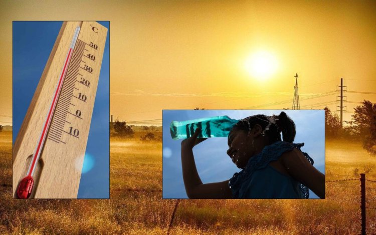 बढ़ती गर्मी के बीच छत्तीसगढ़ में हीटवेव का असर, सुबह 7 बजे से खुलेंगे आंगनबाड़ी केंद्र